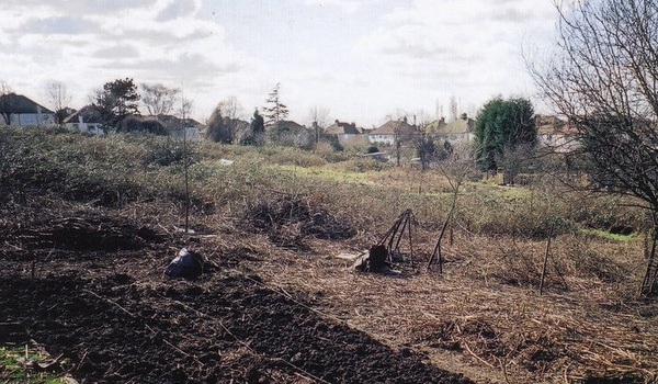 Freshly dug vegetable beds on an otherwise overgrown allotment in winter