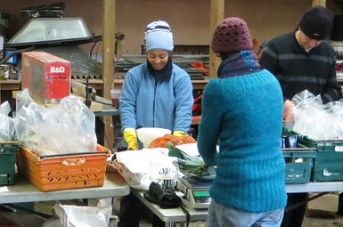 Three volunteers stand at a trestle table weighing vegetables surrounded by crates of vegetables waiting to be processed.