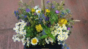 A bouquet of white ox-eye daisies, yellow yarrow, pale purple delphiniums and blue eryngium.