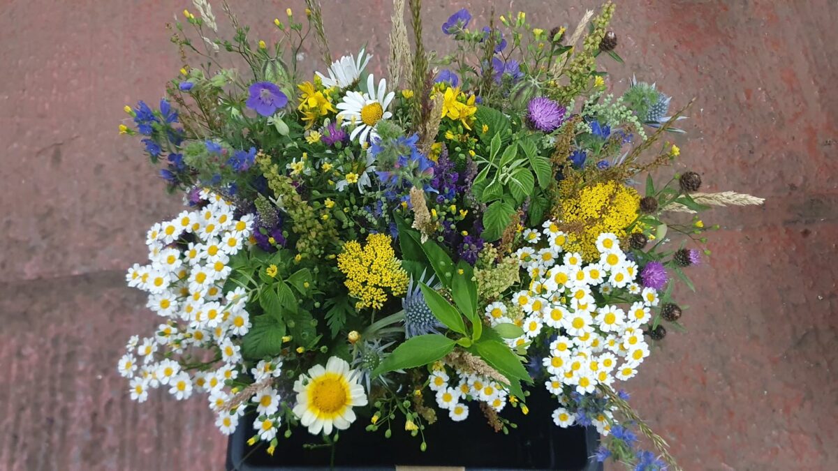 A bouquet of white ox-eye daisies, yellow yarrow, pale purple delphiniums and blue eryngium.