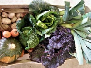 Overhead view of a vegetable crate containing leeks, red< green and Savoy cabbages, a pumpkin, two carrots and a bag of mushrooms.