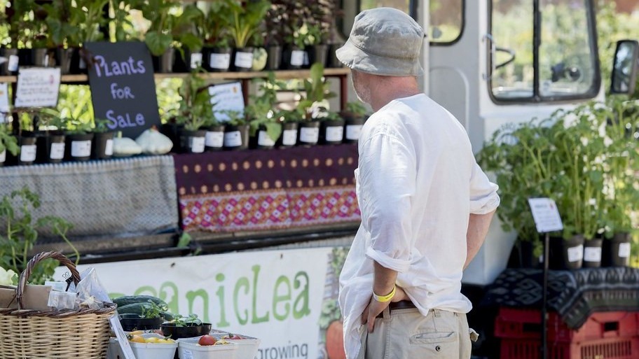 A man looks over an OrganicLea stall filled with shelves of young plants in pots.
