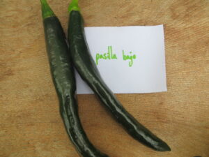 Pasilla Bajio has dark green to black 15-30cm-long pods. They are dried and ground for use in Mexican mole sauces. Origin: Mexico. OGL Heat Rating: 1