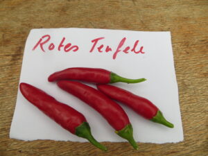 Rotes Teufele means red devil. The hot pods measure 4-5cm long. Origin: Germany. OGL Heat Rating: 8