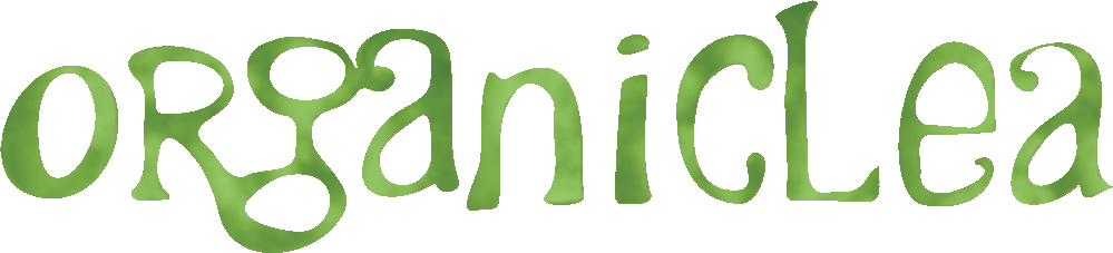 Newsletter banner image