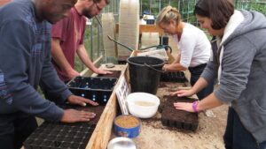 Four students at a potting bench preparing modules for seed sowing