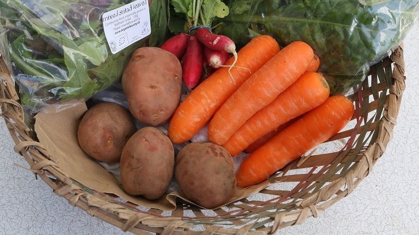 Contents of small veg bag with potatoes, carrots, radishes, green cabbage and a bag of mixed salad leaves.