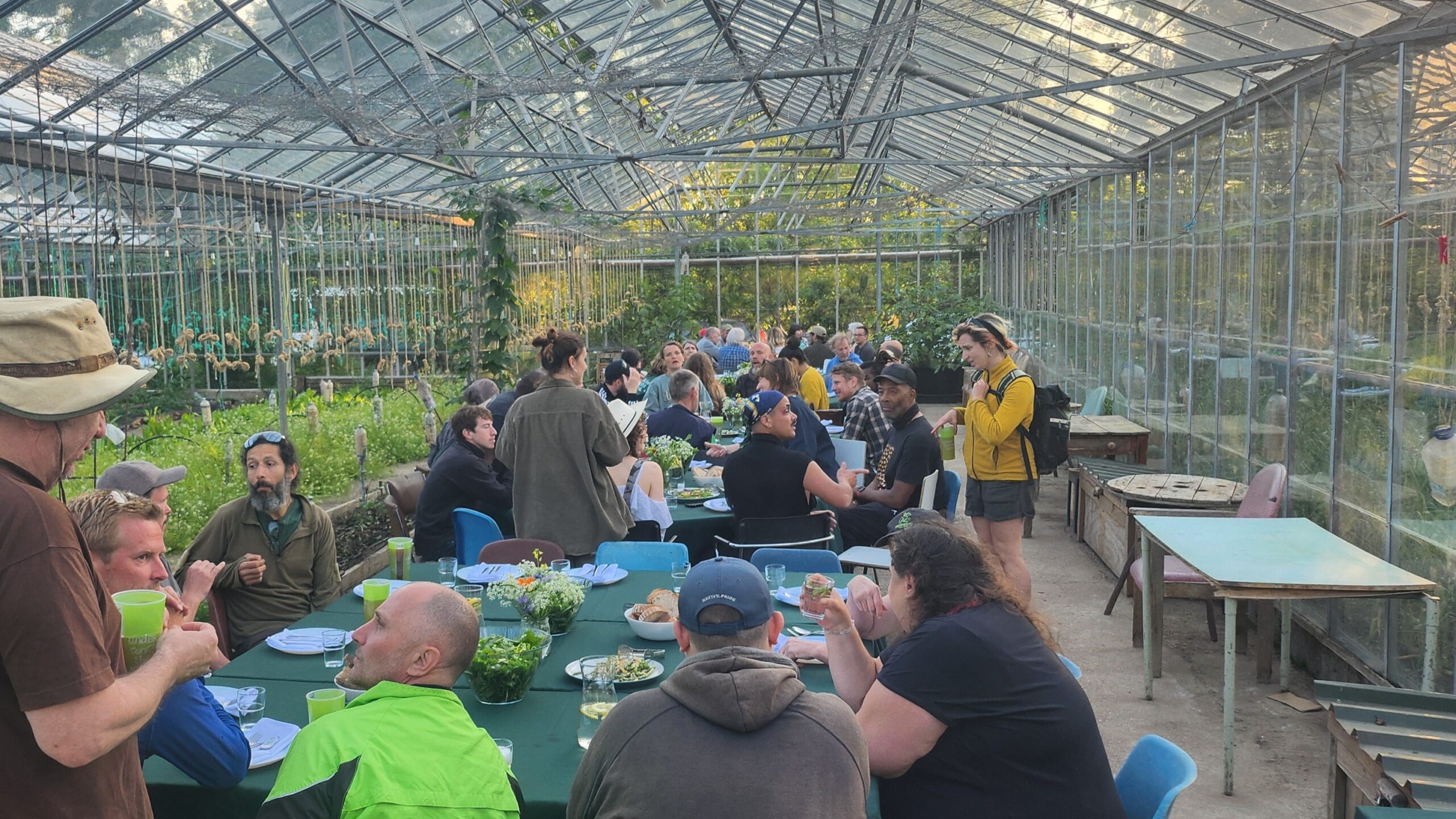 Around 40 people enjoying a sit-down meal at several tables in the glasshouse