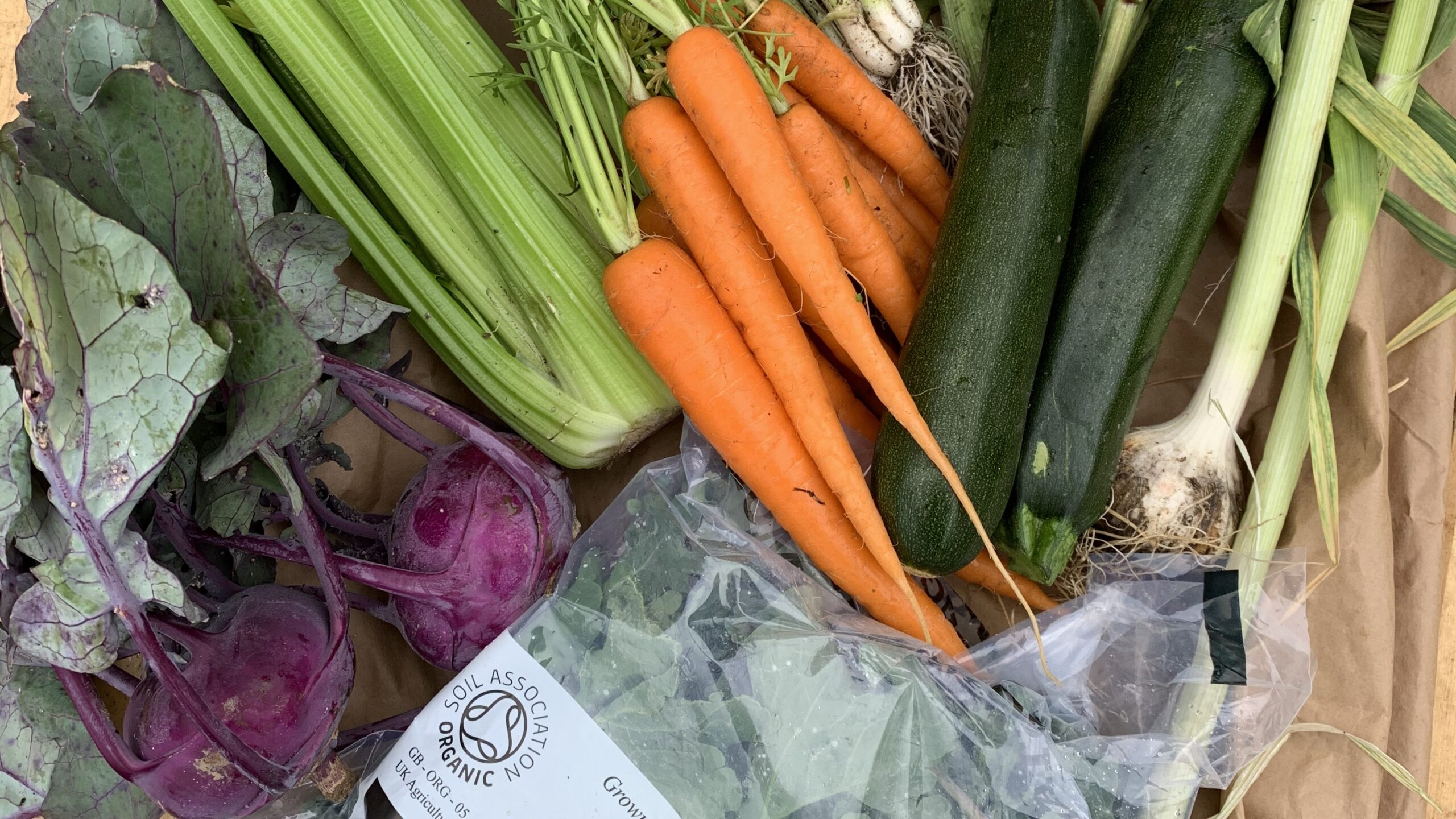 Seasonal bag contents of bunched carrots, celery, courgettes, onion, leafy greens and a bag of mixed salad leaves.
