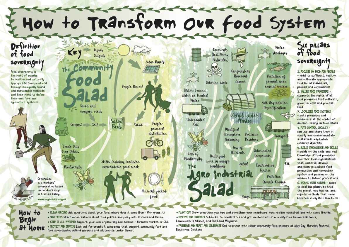 Poster with annotated illustrations detailing what actions can be taken to transform the food system for the better.