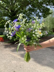 An outstretched hand holding a hand-tied bouquet of mixed summer flowers.