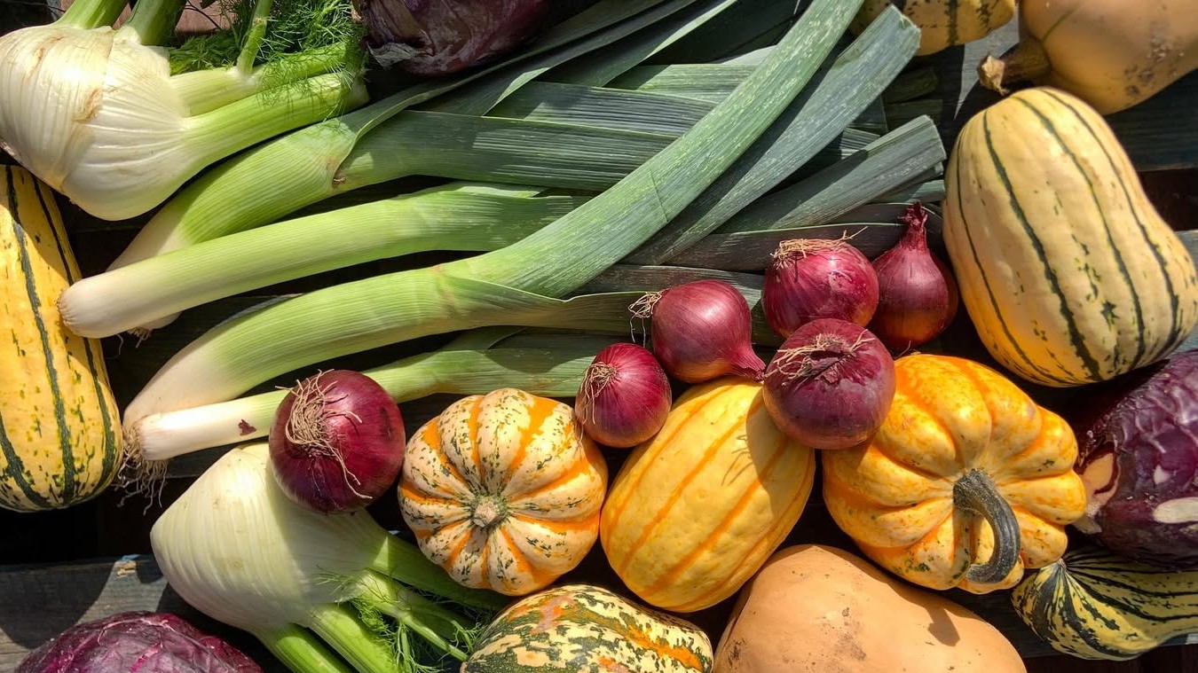 Leeks, onions, squash and pumpkins arranged in a group on a tabletop